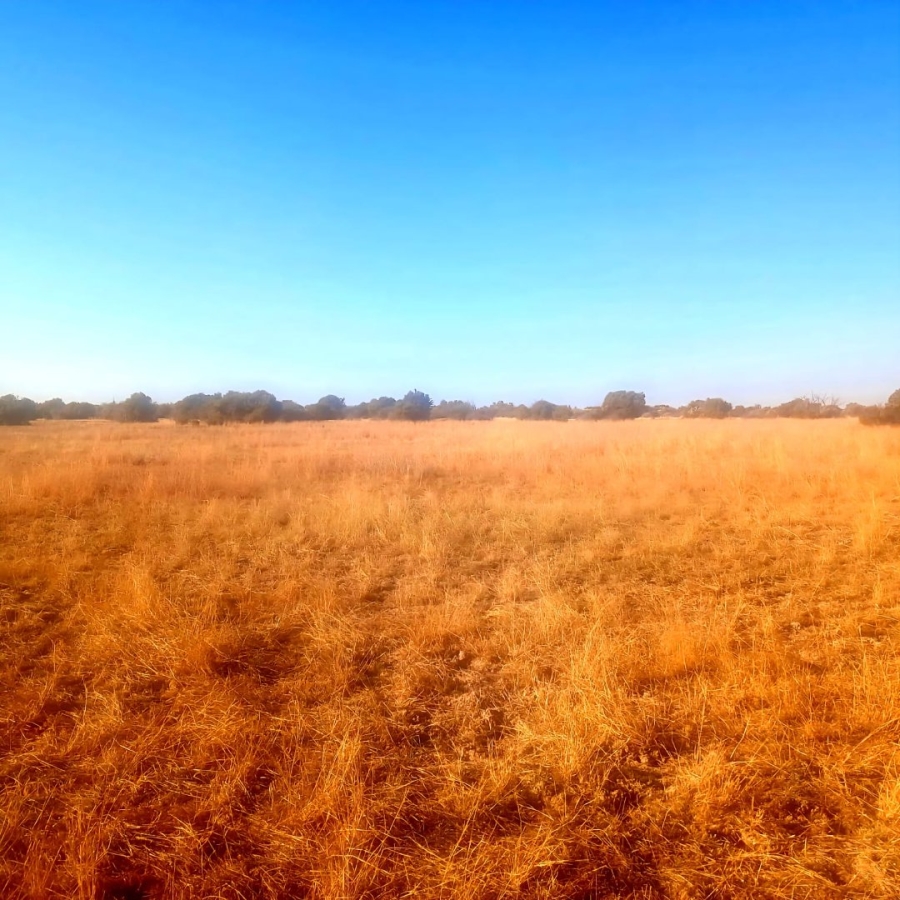 Commercial Property for Sale in Reivilo Northern Cape